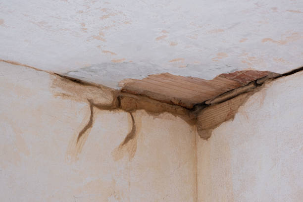 Professional Water damage restoration in Lexington, OK