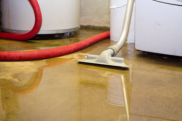 Best Water damage restoration experts  in Lexington, OK